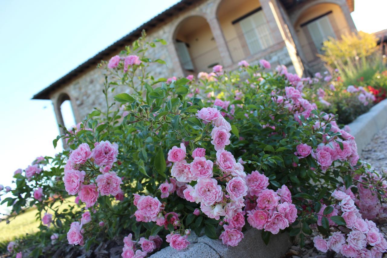Agriturismo Fattoria Di Monticello San Venanzo Εξωτερικό φωτογραφία